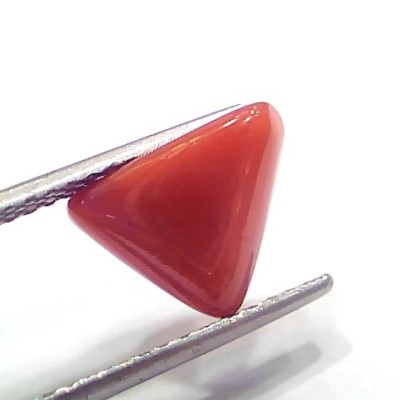 3.91 Ct 4.29 Ratti Natural Italian Triangle Red Coral Moonga Gemstone