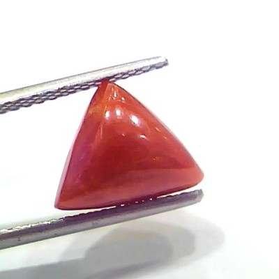 3.92 Ct 4.30 Ratti Natural Italian Triangle Red Coral Moonga Gemstone