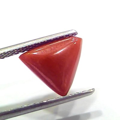 3.92 Ct 4.30 Ratti Natural Italian Triangle Red Coral Moonga Gemstone