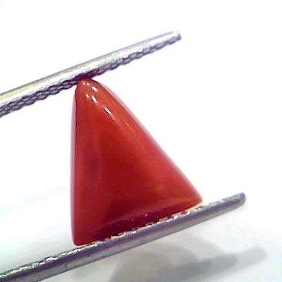 3.96 Ct 4.35 Ratti Natural Italian Triangle Red Coral Moonga Gemstone