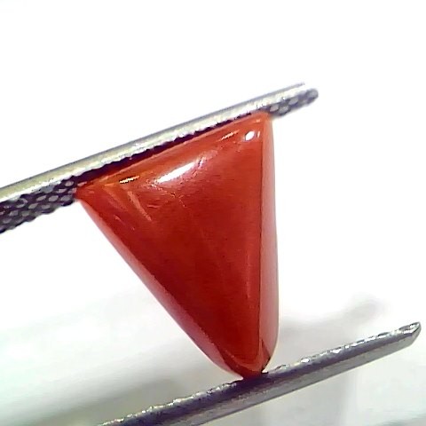 3.96 Ct 4.35 Ratti Natural Italian Triangle Red Coral Moonga Gemstone