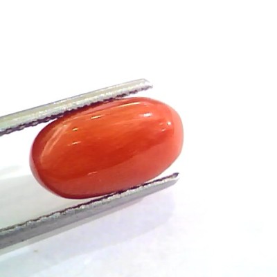 4.04 Carat Natural Italian Red Coral Moonga Gemstone AAAA