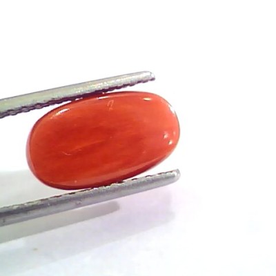4.04 Carat Natural Italian Red Coral Moonga Gemstone AAAA