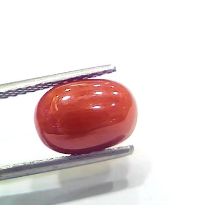 4.10 Ct 4.55 Ratti Natural Italian Red Coral Moonga Gemstone
