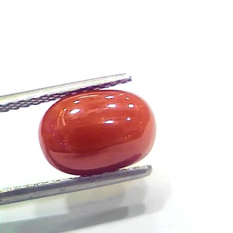 4.10 Ct 4.55 Ratti Natural Italian Red Coral Moonga Gemstone