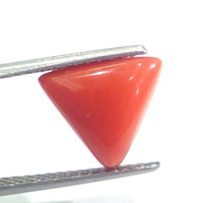 4.06 Ct 6.7 Ratti Natural Italian Triangle Red Coral Moonga Gemstone