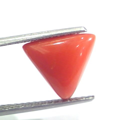 4.06 Ct 6.7 Ratti Natural Italian Triangle Red Coral Moonga Gemstone
