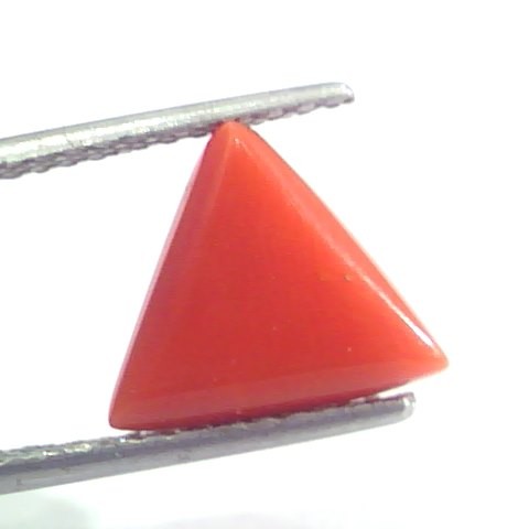 4.06 Ct 6.7 Ratti Natural Italian Triangle Red Coral Moonga Gemstone