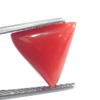 4.08 Ct 4.53 Ratti Natural Italian Triangle Red Coral Moonga Gemstone