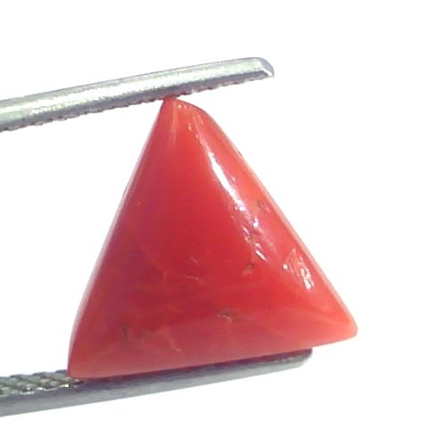 4.08 Ct 4.53 Ratti Natural Italian Triangle Red Coral Moonga Gemstone
