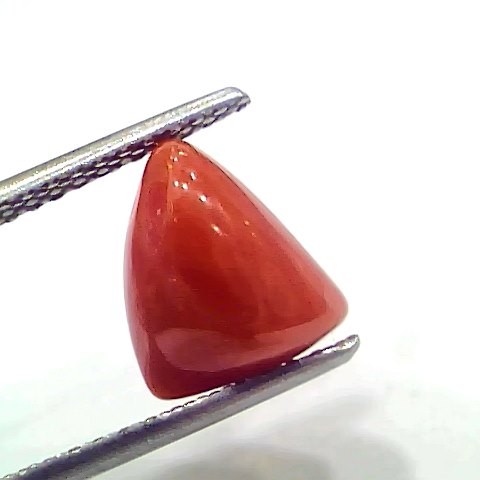 3.97 Ct 4.36 Ratti Natural Italian Triangle Red Coral Moonga Gemstone