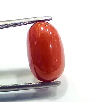 4.17 Ct 4.63 Ratti Natural Italian Red Coral Moonga Gemstone