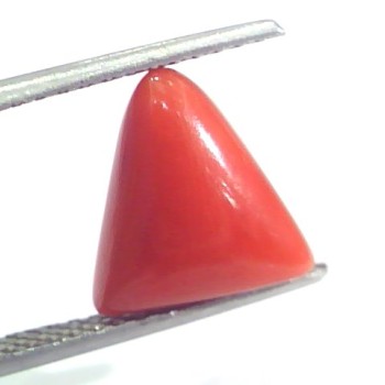 4.10 Ct 4.55 Ratti Natural Italian Triangle Red Coral Moonga Gemstone