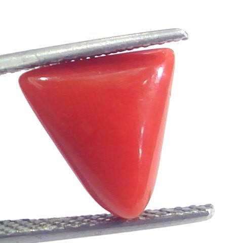 4.10 Ct 4.55 Ratti Natural Italian Triangle Red Coral Moonga Gemstone