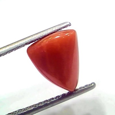 3.97 Ct 4.36 Ratti Natural Italian Triangle Red Coral Moonga Gemstone