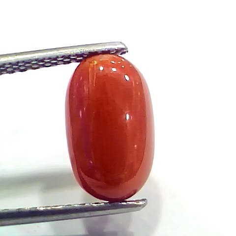 4.17 Ct 4.63 Ratti Natural Italian Red Coral Moonga Gemstone