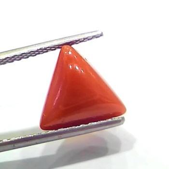 4.10 Ct 4.55 Ratti Natural Italian Triangle Red Coral Moonga Gemstone