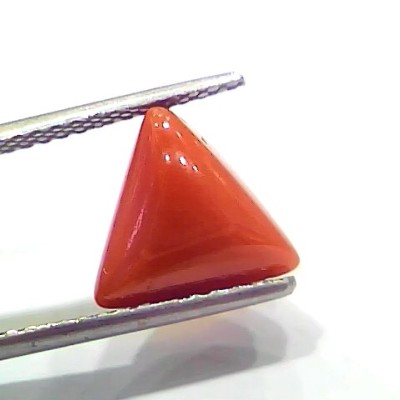 4.10 Ct 4.55 Ratti Natural Italian Triangle Red Coral Moonga Gemstone