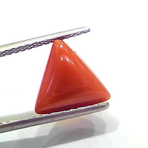 4.10 Ct 4.55 Ratti Natural Italian Triangle Red Coral Moonga Gemstone