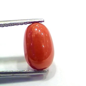4.20 Ct 4.66 Ratti Natural Italian Red Coral Moonga Gemstone
