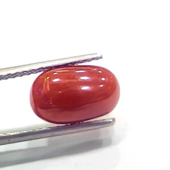 4.03 Ct 4.47 Ratti Natural Italian Red Coral Moonga Gemstone