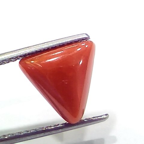 4.10 Ct 4.55 Ratti Natural Italian Triangle Red Coral Moonga Gemstone