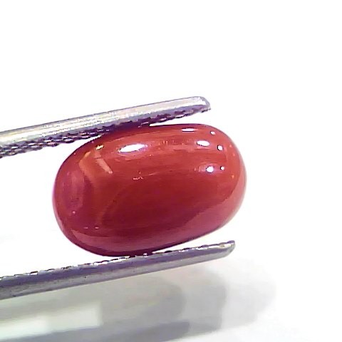 4.03 Ct 4.47 Ratti Natural Italian Red Coral Moonga Gemstone