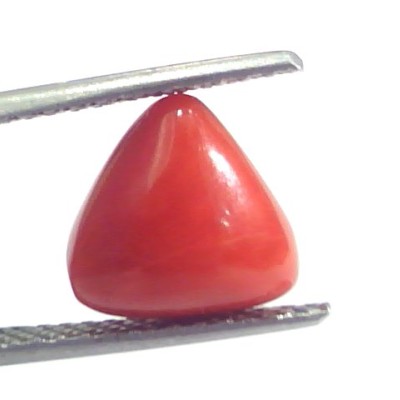 4.17 Ct 6.9 Ratti Natural Italian Triangle Red Coral Moonga Gemstone