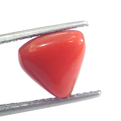 4.17 Ct 6.9 Ratti Natural Italian Triangle Red Coral Moonga Gemstone