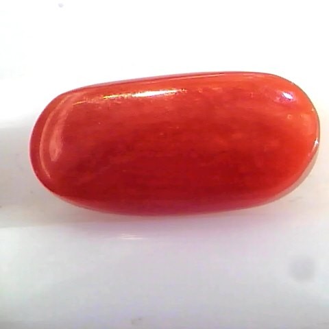4.31 Ct Untreated Natural Premium Italian Red Coral AAAAA
