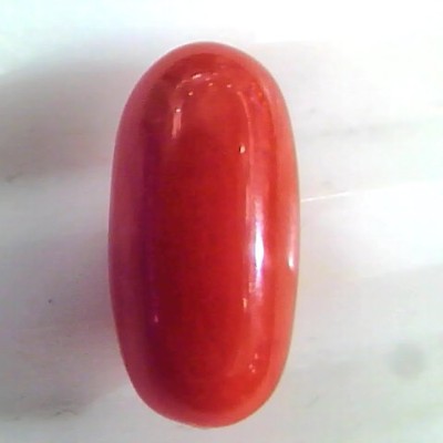 4.31 Ct Untreated Natural Premium Italian Red Coral AAAAA