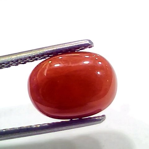 4.42 Ct 4.91 Ratti Natural Italian Red Coral Moonga Gemstone