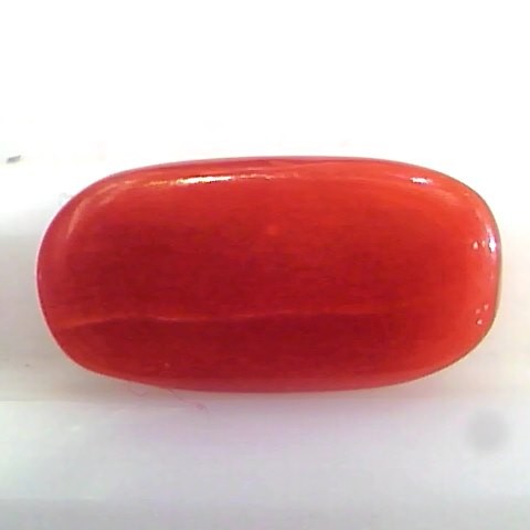 4.31 Ct Untreated Natural Premium Italian Red Coral AAAAA