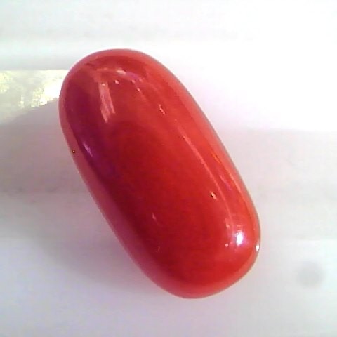 4.31 Ct Untreated Natural Premium Italian Red Coral AAAAA