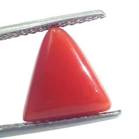 4.34 Ct 7.25 Ratti Natural Italian Triangle Red Coral Moonga Gemstone