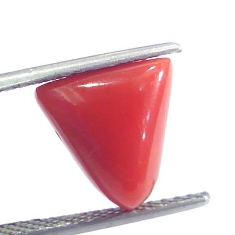 4.34 Ct 7.25 Ratti Natural Italian Triangle Red Coral Moonga Gemstone