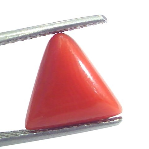 4.37 Ct 7.25 Ratti Natural Italian Triangle Red Coral Moonga Gemstone