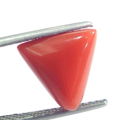 4.37 Ct 7.25 Ratti Natural Italian Triangle Red Coral Moonga Gemstone