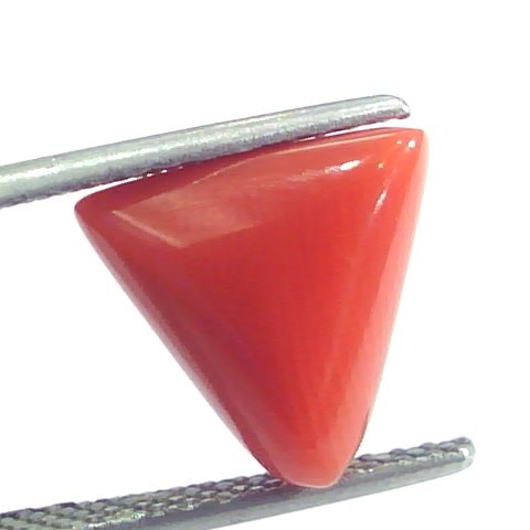 4.37 Ct 7.25 Ratti Natural Italian Triangle Red Coral Moonga Gemstone