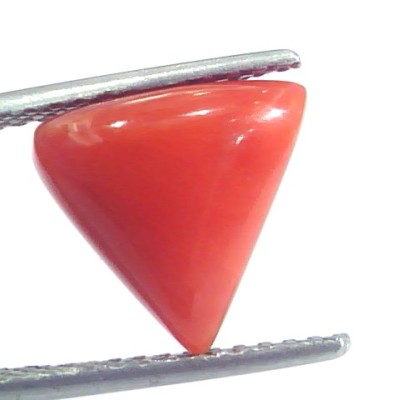 4.38 Ct 7.25 Ratti Natural Italian Triangle Red Coral Moonga Gemstone