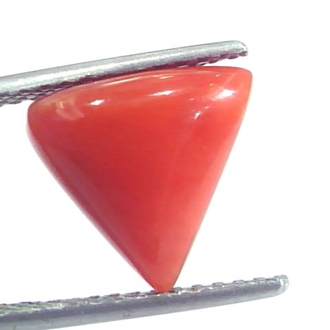 4.38 Ct 7.25 Ratti Natural Italian Triangle Red Coral Moonga Gemstone