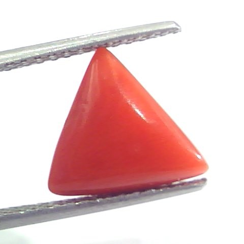 4.38 Ct 7.25 Ratti Natural Italian Triangle Red Coral Moonga Gemstone
