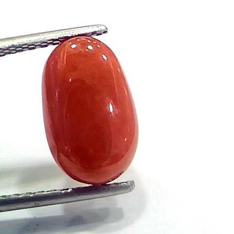 4.38 Ct 4.86 Ratti Natural Italian Red Coral Moonga Gemstone