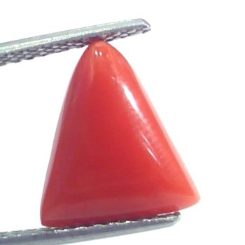 4.45 Ct 4.94 Ratti Natural Italian Triangle Red Coral Moonga Gemstone