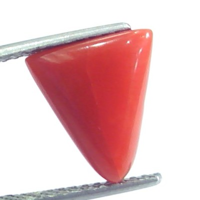 4.45 Ct 4.94 Ratti Natural Italian Triangle Red Coral Moonga Gemstone
