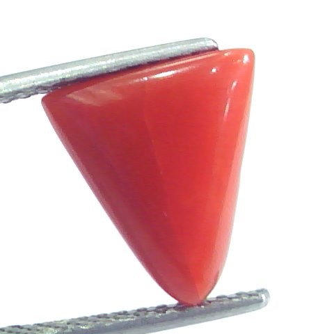 4.45 Ct 4.94 Ratti Natural Italian Triangle Red Coral Moonga Gemstone
