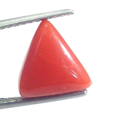 4.47 Ct 7.45 Ratti Natural Italian Triangle Red Coral Moonga Gemstone