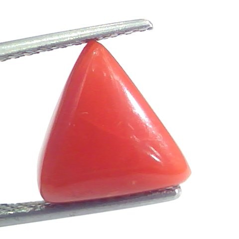 4.47 Ct 7.45 Ratti Natural Italian Triangle Red Coral Moonga Gemstone