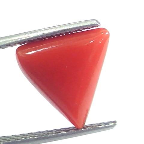 4.47 Ct 7.45 Ratti Natural Italian Triangle Red Coral Moonga Gemstone