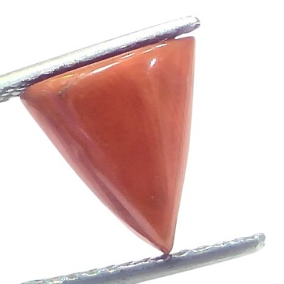 4.47 Ct Natural Italian Triangle Red Coral Trikon Moonga Gemstone 4.47 Ct Natural Italian Triangle Red Coral Trikon Moonga Gemstone